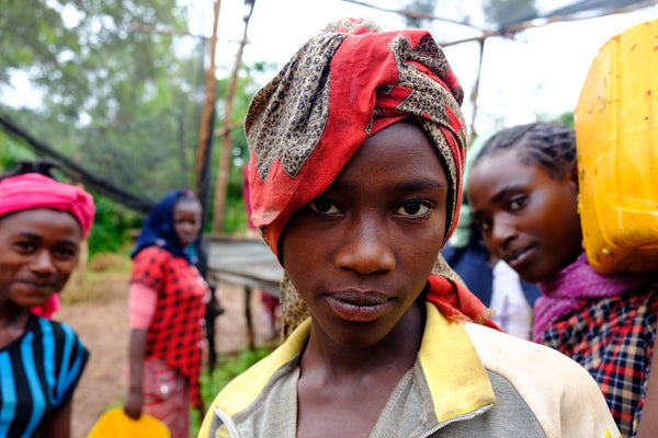 From Seed To Cup: Ethiopia Sidama Kellenso Mekonissa