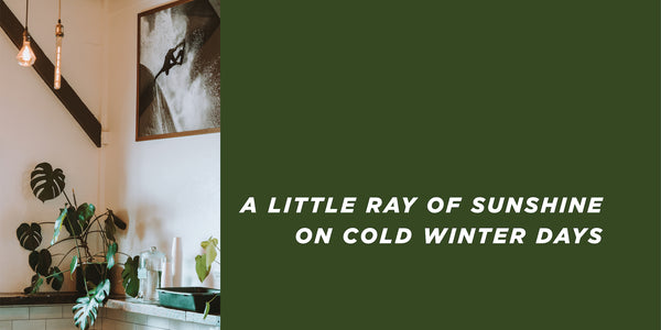 Left side shows coffee shop interior image with beige walls, big green plant and a black and white framed photo of a snowboarder on the wall.