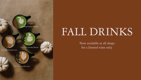 Promotional graphic for fall drinks, featuring four iced coffee and matcha lattes arranged on a brown surface with small white pumpkins on the left, and large text on the right reading 'FALL DRINKS' with the subtitle 'Now available at all shops for a limited time only.'.